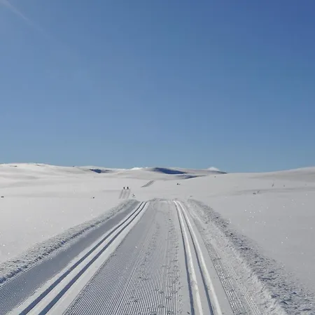 Διαμέρισμα Snoya Hemsedal